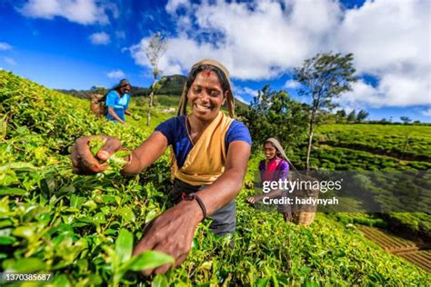 5,743 Tamil Ladies Stock Photos and High